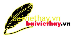 baiviethay.vn