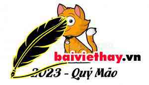 2023 la nam con gi -baiviethay.vn