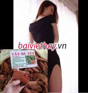 cay mu tun 1 -baiviethay.vn