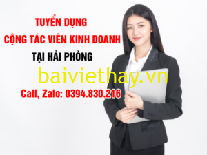 tuyen cong tac vien ban hang online tai hai phong 1 -baiviethay.vn